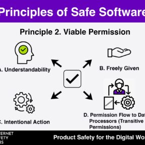 Graphic with "Principle 2- Viable Permission"