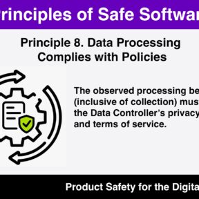 Graphic with "Principle 8- Data Processing Complies with Policies"